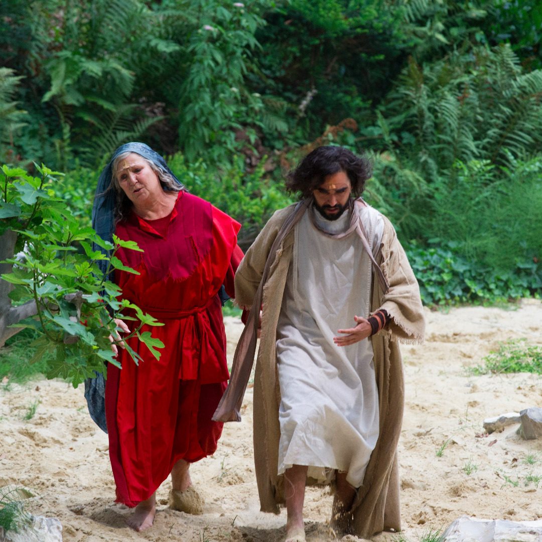 Avondvoorstelling 1 – Foto Peter-Trompetter